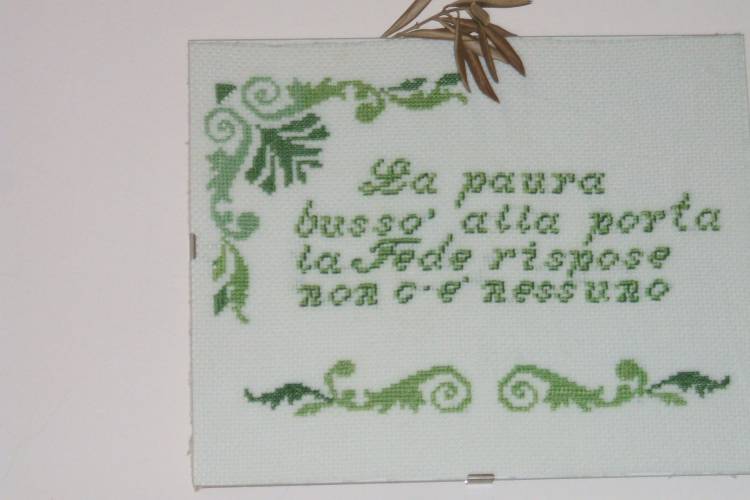 DSCF0878.jpg