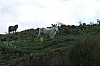 DSCF0892.jpg