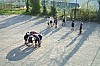 DSCF0942.jpg
